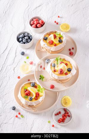 Lait caillé de citron doux aromatisé au citron et au fromage. Cheesecake au citron avec fruits à baies. Banque D'Images