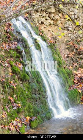 Une petite cascade coule le long d'une paroi rocheuse couverte de mousse, son écoulement soyeux capturé avec une longue exposition. Feuilles d'automne tombées dans les tons d'orange et Br Banque D'Images