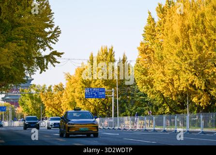 Pékin, Chine. 3 novembre 2025. Cette photo prise le 3 novembre 2025 montre le paysage d'automne à Pékin, capitale de la Chine. Crédit : Chen Yehua/Xinhua/Alamy Live News Banque D'Images