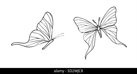 Deux papillons dans deux poses volantes vecteur illustration isolée peinte par des encres noires. Vue de face et vue latérale. Illustration de Vecteur