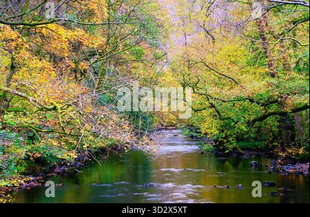 Une rivière bordée d'arbres reliant Grasmere et Rydal Water dans le parc national du Lake District, Cumbria, Royaume-Uni Banque D'Images