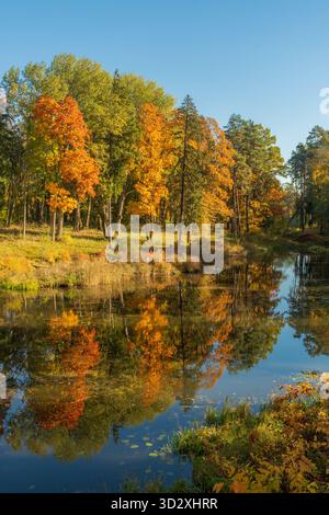 Un paysage d'automne serein avec un lac calme entouré d'arbres colorés avec un feuillage jaune, orange et vert vif Banque D'Images