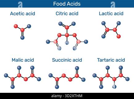 Molécules modèles 3D d'acides alimentaires. Acide acétique (E260), acide lactique (E270), acide citrique (E330), acide malique (E296), acide succinique (E363), acide tartrique (E33 Illustration de Vecteur
