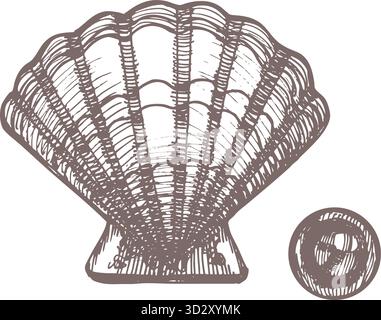 Coquillage vectoriel dessiné à la main avec perle, illustration marine vintage, élément océanique d'esquisse pour la conception et la décoration. Illustration de Vecteur