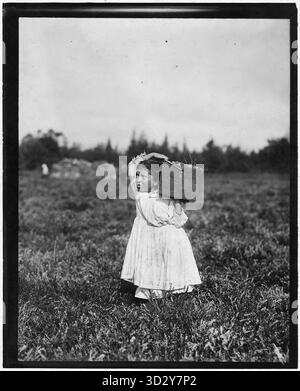 : Jennie Camillo, huit ans cueillant des baies à West Maniyunk, Pennsylvanie Description : Jennie Camillo, huit ans, résidente de West Maniyunk, Pennsylvanie (près de Philadelphie), est montrée passer son été à cueillir des baies. La photographie documente le travail des enfants et le travail agricole saisonnier dans les familles ouvrières au début du XXe siècle. Il offre un aperçu poignant de la vie rurale et industrielle en Pennsylvanie pendant cette période. Banque D'Images
