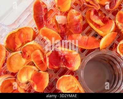 Tranches de kaki séché déshydrateur alimentation saine nutrition fruits bio conservation des collations végétaliennes. Collations végétaliennes et préparation de nourriture DIY. Banque D'Images