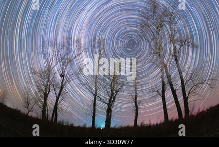 Pékin, Chine. 31 octobre 2025. Une photo composite empilée prise le 31 octobre 2025 montre des arbres sous le ciel étoilé dans la ville de Fujin, dans la province du Heilongjiang, au nord-est de la Chine. Les nuits d'automne, des images calmes et magnifiques de la lumière des étoiles dans la province la plus septentrionale de la Chine se déroulent. Crédit : Geng Xiqing/Xinhua/Alamy Live News Banque D'Images