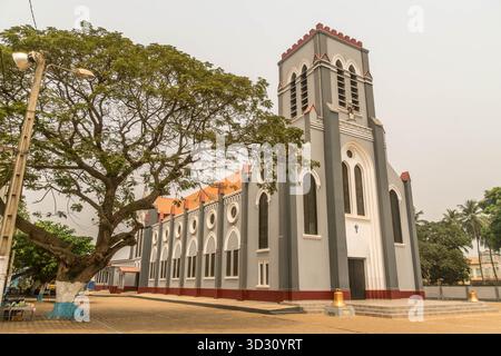 Basilique historique de l'Immaculée conception avec grand arbre sur place pavée à Ouidah, Bénin, Afrique de l'Ouest, pendant la saison sèche. Banque D'Images