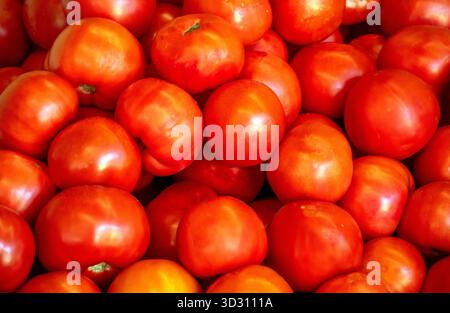 Grande pile de tomates fraîches mûres à vendre Banque D'Images