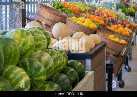 grand assortiment de fruits frais à vendre Banque D'Images