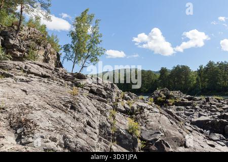 Une scène rocheuse naturelle de berges avec des pierres altérées, des arbres clairsemés et un plan d'eau tranquille. Rivière Katun, République de l'Altaï, Russie Banque D'Images