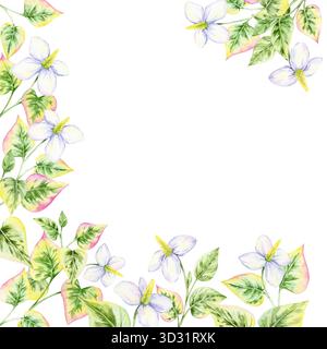 Feuilles vertes et roses en forme de coeur avec des fleurs blanches, clipart aquarelle, dessiné à la main, cadre floral carré. Parfait pour les invitations, les cartes de vœux, l'emballage et le scrapbooking numérique Banque D'Images