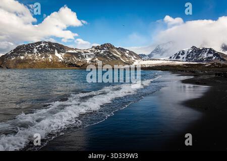Paysages et paysages marins avec des montagnes dans la baie d'Elsehul, île de Géorgie du Sud, Océan Austral, région Antarctique Banque D'Images