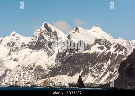 Paysages et paysages marins avec des montagnes dans la baie d'Elsehul, île de Géorgie du Sud, Océan Austral, région Antarctique Banque D'Images