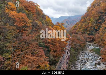 Pékin, Chine. 3 novembre 2025. Une photo de drone aérien prise le 3 novembre 2025 montre des touristes admirant le feuillage d'automne dans la zone pittoresque de la montagne Guangwu dans la ville de Bazhong, dans la province du Sichuan au sud-ouest de la Chine. Crédit : Liu Changsong/Xinhua/Alamy Live News Banque D'Images