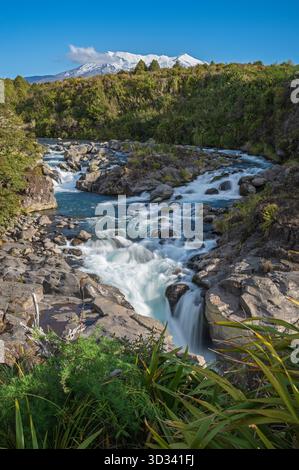 Mahuia Rapids de la « Volcanic Loop Highway » (SH47), parc national de Tongariro, île du Nord, Nouvelle-Zélande, avec des volcans enneigés au loin. Banque D'Images