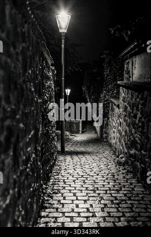 Vue atmosphérique en noir et blanc de l'étroite ruelle pavée avec lampadaires la nuit, Radebeul près de Dresde, Saxe, Allemagne Banque D'Images