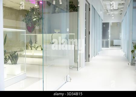 Couloir vide bien éclairé avec de nombreuses salles de conférence confortables et des espaces de travail privés dans un centre d'affaires Banque D'Images