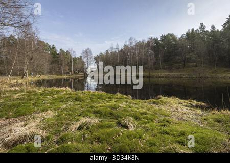 Svarttjern est un étang de Baneheia à Kristiansand, Norvège. Au printemps il est rempli de grenouilles, crapauds et salamandres Banque D'Images