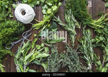 Beaucoup d'herbes fraîches jardin d'en haut sur la table, peparation pour le séchage. Concept de cuisine saine Banque D'Images