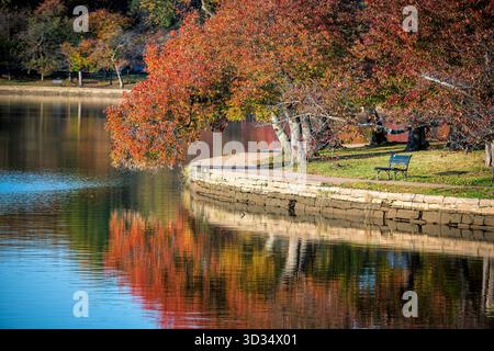 Les cerisiers du bassin de marée aux couleurs d'automne Washington DC // WASHINGTON DC — les couleurs d'automne vibrantes illuminent les cerisiers le long du bassin de marée, leur feuillage rouge et orange magnifiquement reflété dans les eaux calmes. Ces arbres emblématiques, dont des variétés connues pour leurs teintes automnales, font partie de la collection offerte à l’origine aux États-Unis par le Japon. Le Tidal Basin est un réservoir artificiel situé entre le fleuve Potomac et le canal de Washington. C'est un élément central du National Mall, entouré de monuments nationaux. Cette destination populaire de Washington DC est célébrée pour les deux Banque D'Images