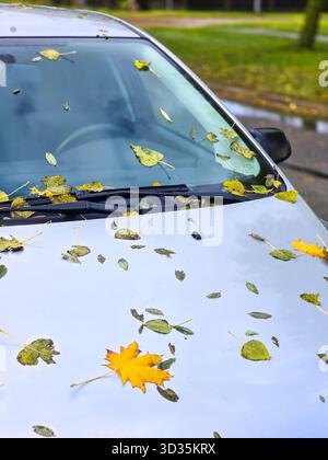 Feuilles d'automne sur le pare-brise et le capot de la voiture après la pluie, concept de météo saisonnière Banque D'Images