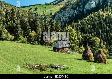 Cabane en bois avec toit en bardeaux et deux meules de foin sur une pente herbeuse, entourée de forêt et de collines rocheuses. Une scène rurale vibrante baignée de soleil. Banque D'Images