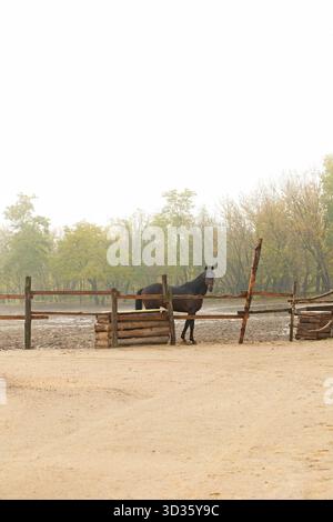 Cheval derrière la clôture de paddock en bois dans l'image verticale d'automne avec l'espace de copie Banque D'Images