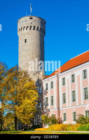 Vue sur la grande tour Hermann et le bâtiment du Parlement depuis le jardin des gouverneurs à Toompea. Tallinn, Estonie Banque D'Images