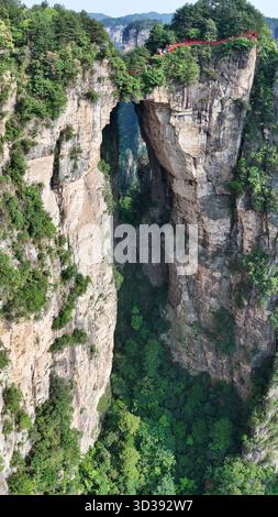 Vue aérienne des imposantes formations rocheuses et de la verdure luxuriante du parc forestier national de Zhangjiajie, une symphonie de tons terreux et de verts vibrants, Zhan Banque D'Images