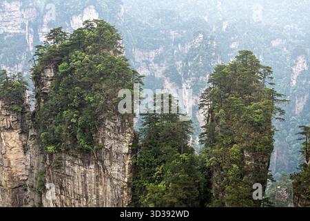 Vue aérienne des piliers de grès déchiquetés s'élèvent majestueusement, couronnés d'arbres verdoyants sur le fond brumeux du parc forestier national de Zhangjiajie, Banque D'Images