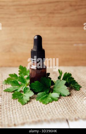 Vue latérale de teinture médicinale à base de plantes maison faite à partir de persil Petroselinum crispum. Composition pour flacon pipette à feuilles vertes et marron. Banque D'Images