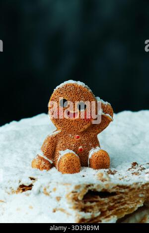 portrait d'un homme en pain d'épice avec des boutons rouges et des joues roses reposant sur des milhojas de meringue, son visage couvert de sucre brillant contre l'hiver noir b Banque D'Images