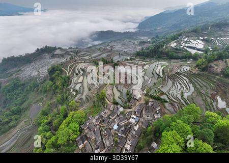 Vue aérienne de champs en terrasses reflétant le ciel, niché à côté d'un village au milieu de collines brumeuses, une tapisserie d'art de la nature, terrasses de riz Samaba, Banque D'Images