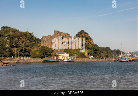 Le château de Carlingford, construit vers 1190, est vu à travers Carlingford Lough dans le nord-est de l'Irlande. Banque D'Images