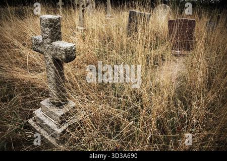 Tombes dans le cimetière envahi par la végétation à Skeffling, East Riding of Yorkshire. Banque D'Images