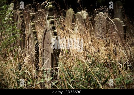 Tombes dans le cimetière envahi par la végétation à Skeffling, East Riding of Yorkshire. Banque D'Images