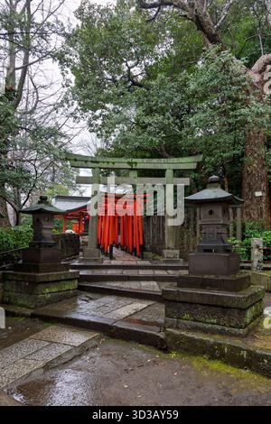 Vue panoramique sur la passerelle torii rouge rouge à Yanaka subsurb à Tokyo, Japon. Yanaka est un quartier traditionnel et atmosphérique de Tokyo connu pour son atmosphère nostalgique, ses temples et ses chats. Banque D'Images