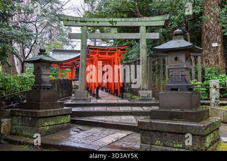 Vue panoramique sur la passerelle torii rouge rouge à Yanaka subsurb à Tokyo, Japon. Yanaka est un quartier traditionnel et atmosphérique de Tokyo connu pour son atmosphère nostalgique, ses temples et ses chats. Banque D'Images