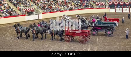 Calgary, Alberta, Canada. 12 juillet 2025. Une compétition de wagon maison au festival, capturant la vitesse intense et la tradition du Rangeland Derby Banque D'Images