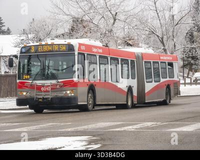 Calgary, Alberta, Canada. 13 mars 2025. Un autobus de Calgary transit, la route 3 Elbow Dr SW, est capturé par un jour de neige, mettant en vedette sa livrée rouge et grise aga Banque D'Images
