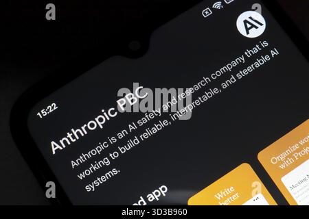 8 novembre 2024, Brésil. Dans cette illustration photo, le logo de l'application Anthropic est affiché sur l'écran d'un smartphone Banque D'Images