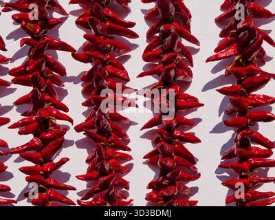 Des rangées de piments d'Espelette rouge vif sèchent au soleil de midi contre un mur blanc, projetant des ombres graphiques à Espelette, en France. Banque D'Images