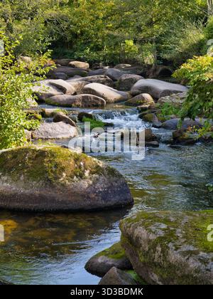 Sunlit River Aven tombe sur des rochers de granit moussues au milieu d'une forêt luxuriante à Pont-Aven, Bretagne, France. Une scène naturelle idéale pour les voyages et les thèmes de la nature. Banque D'Images