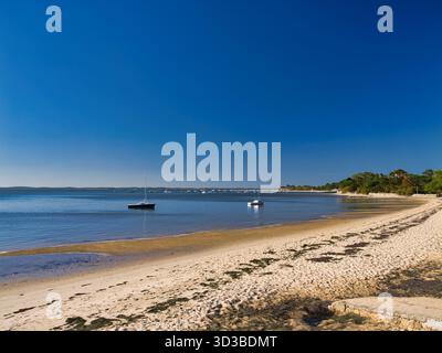 Plage de Taussat, baie d'Arcachon, France, avec des voiliers amarrés et un rivage sablonneux sous un ciel bleu sans nuages. La lumière douce de l'après-midi ajoute une atmosphère paisible en bord de mer. Banque D'Images