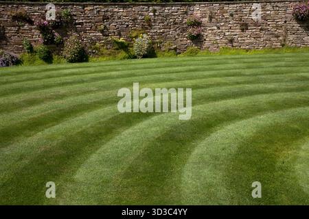 pelouse rayée wisley surrey angleterre Banque D'Images