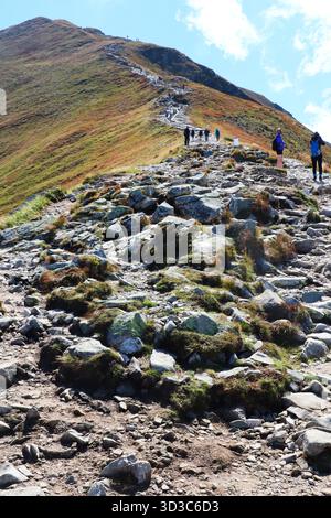 Randonneurs gravissant un sentier des montagnes Rocheuses par un jour ensoleillé Banque D'Images