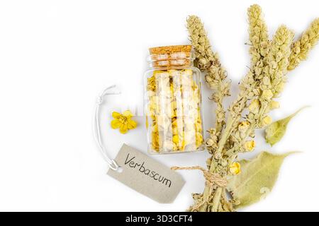 Fleurs séchées Verbascum thapsus isolées sur fond blanc. Plante à base de plantes pour la médecine naturelle alternative et le concept d'apothicaire, vue de dessus Banque D'Images