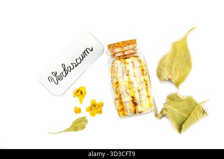 Fleurs séchées Verbascum thapsus isolées sur fond blanc. Plante à base de plantes pour la médecine naturelle alternative et le concept d'apothicaire, vue de dessus Banque D'Images