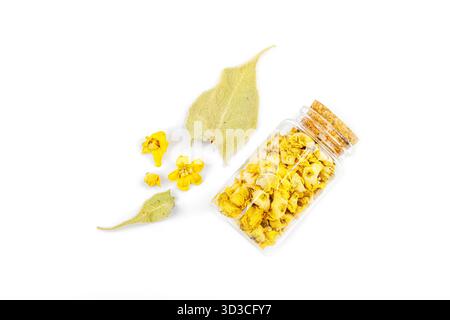 Fleurs séchées Verbascum thapsus isolées sur fond blanc. Plante à base de plantes pour la médecine naturelle alternative et le concept d'apothicaire, vue de dessus Banque D'Images